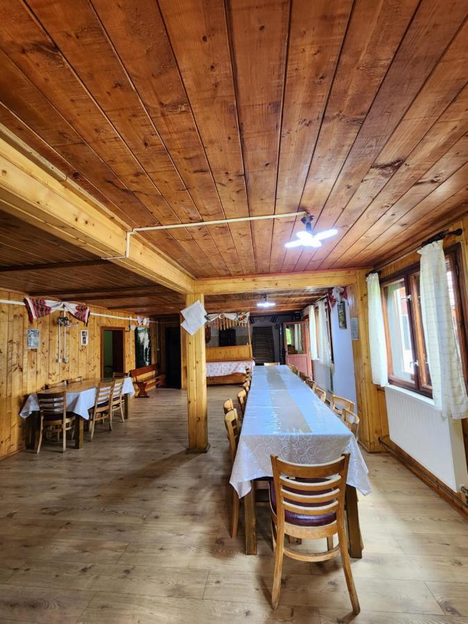 Pensiunea Susman Rachitele Exterior foto