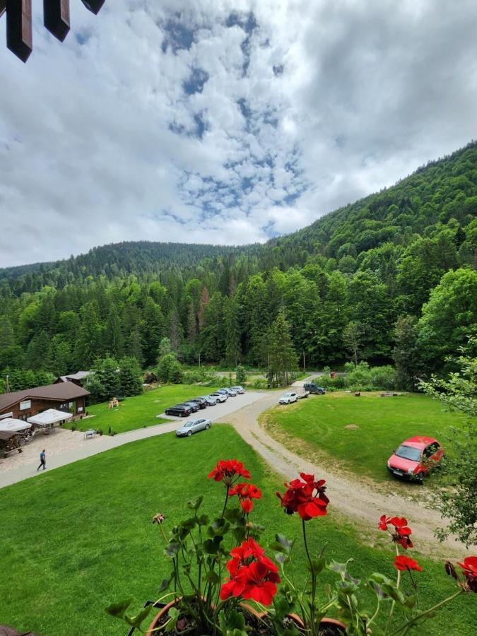 Pensiunea Susman Rachitele Exterior foto