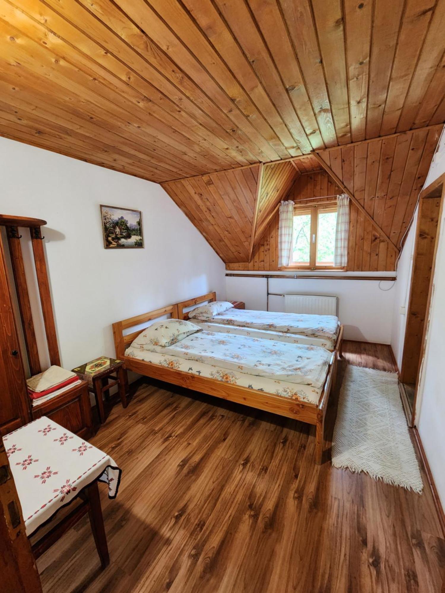 Pensiunea Susman Rachitele Exterior foto